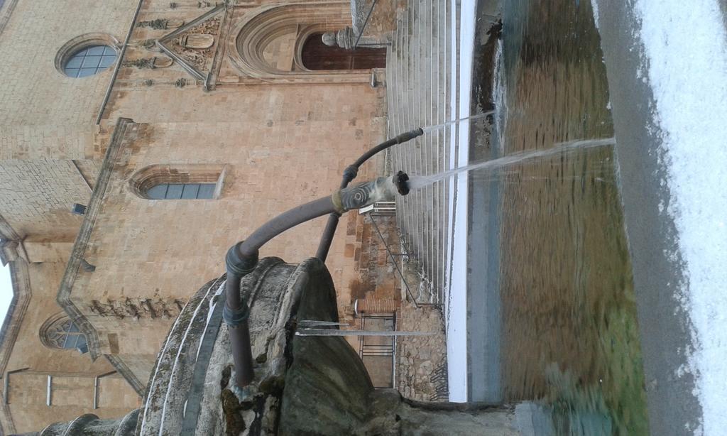 Hotel Las Casas De Pandreula بيرلانغا دي دويرو المظهر الخارجي الصورة